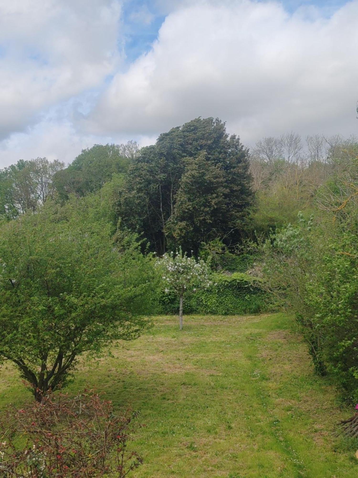 La Ferté-sous-Jouarre Chez Peggy B&B 외부 사진